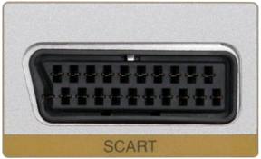 21 pin SCART socket as found on most TV's in the EU